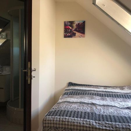 Beachfront Studio Apartman Aparthotel Balatonfuzfo Luaran gambar
