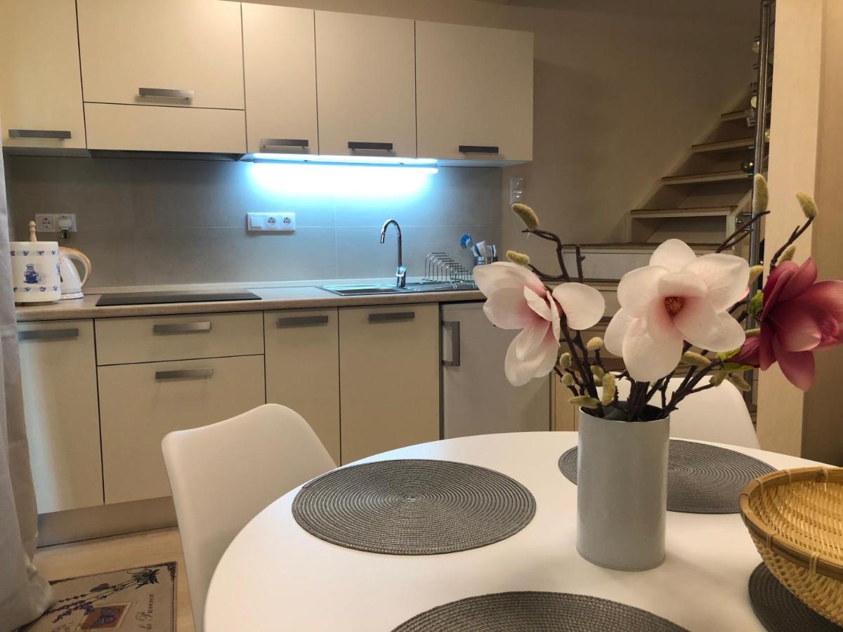 Beachfront Studio Apartman Aparthotel Balatonfuzfo Luaran gambar