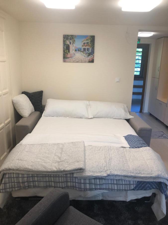 Beachfront Studio Apartman Aparthotel Balatonfuzfo Luaran gambar