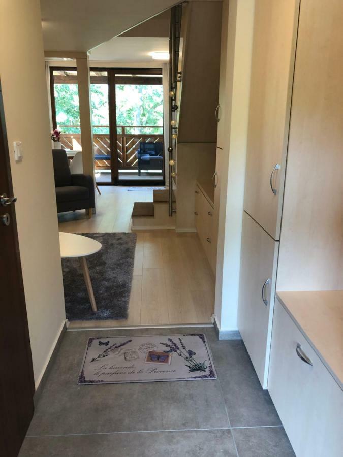 Beachfront Studio Apartman Aparthotel Balatonfuzfo Luaran gambar