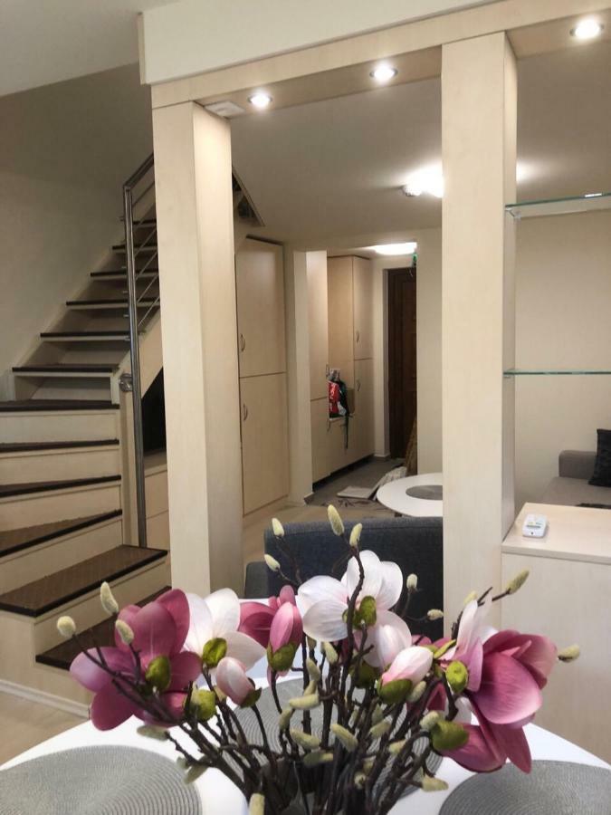 Beachfront Studio Apartman Aparthotel Balatonfuzfo Luaran gambar